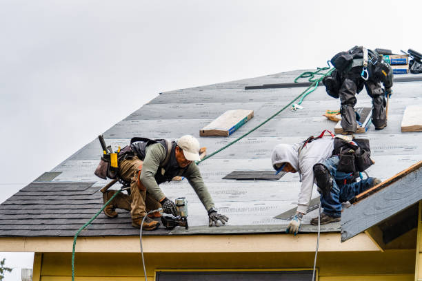 Professional Roofing technician working in Cecil, WI